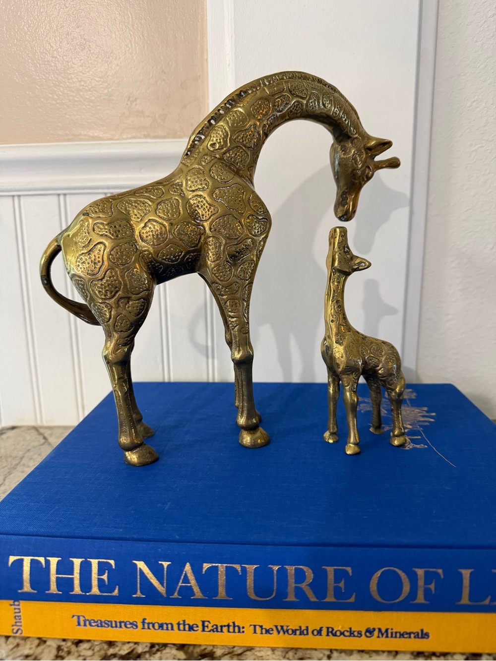 Brass Giraffe Figurine Set - Gold Decorative Home Art